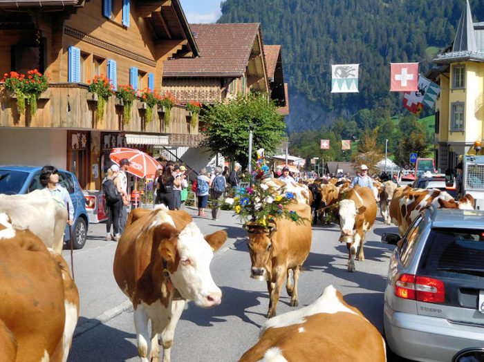 lauterbrunnencowparade Mark File